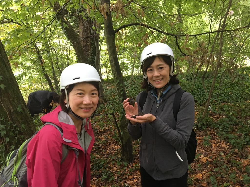 자그레브 로바골라 비앤비 B&B 외부 사진